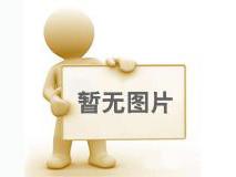 歐式固定電動(dòng)葫蘆：助力工業(yè)發(fā)展的起重神器